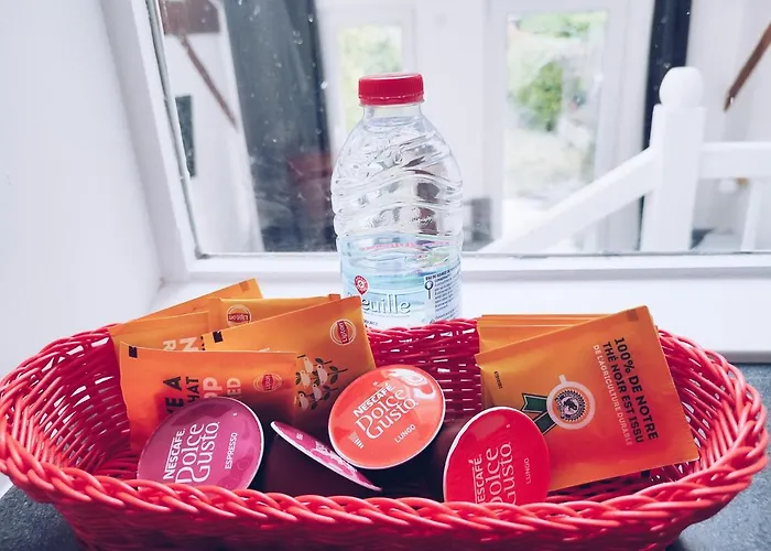 Hôtel accueillant les animaux: Studios Lsquare-Residence