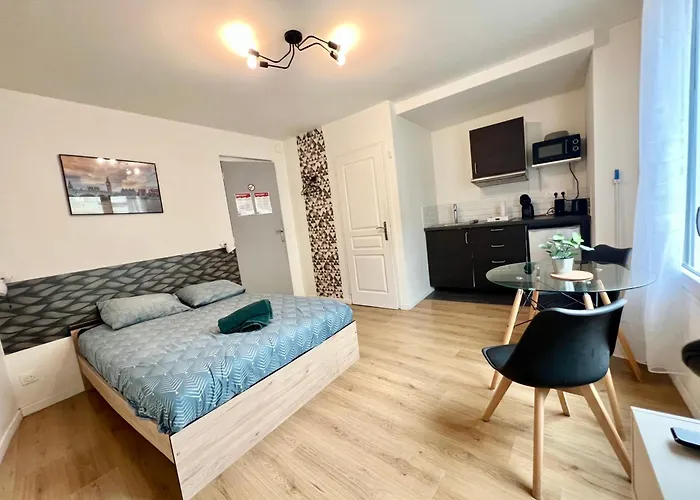 Hôtel accueillant les animaux: Studios Ideal Pro I Centre-Ville & Parking Gratuit